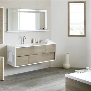 Le sanitaire - La salle de bain, Millau en Aveyron, Confort Plus Occitanie